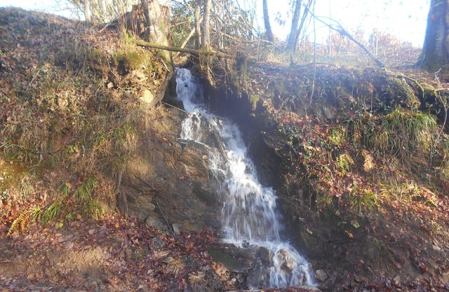 Hermoso anexo de 3 dormitorios, a 3 minutos de Orgnac-sur-Vezere.