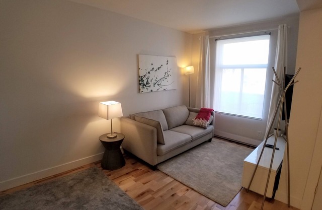 3 Bedroom near Olympic Stadium