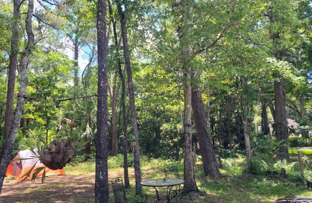 4.5 MILES TO MACRAES BOAT RAMP!! Spacious with plenty of room for boats or RVs.