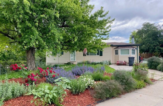 4 Beds, Mountain View, great parks, gateway to the Rockies, washer and dryer