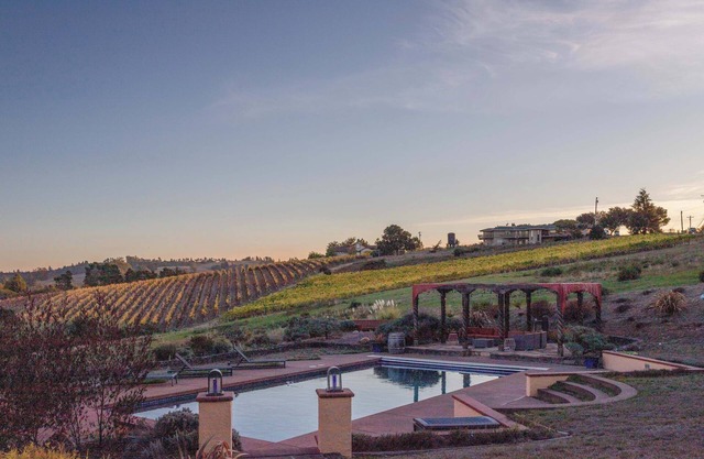 5 Acre Villa Retreat w/ Vineyard, Pool, & Spa