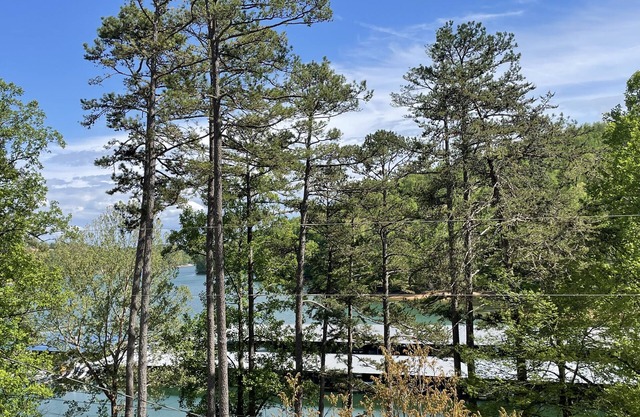 5 Bedroom Norris Lake Home with Covered Boat Slip at Sugar Hollow Marina