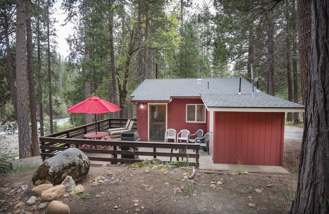 65 nido de gorrión dentro del Parque Nacional Yosemite