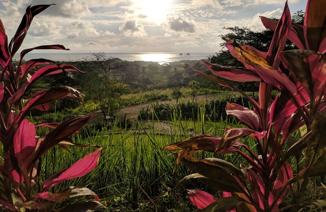 ¡Un oasis de selva en la ladera con increíbles vistas panorámicas del Océano Pacífico!