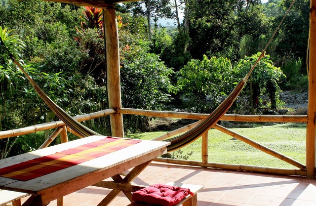 Un pequeño paraíso natural - 100.000 m² finca tropical - aves tropicales - WiFi