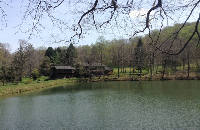 ¡Una casa moderna en una gran reserva natural en el valle de Ligonier!