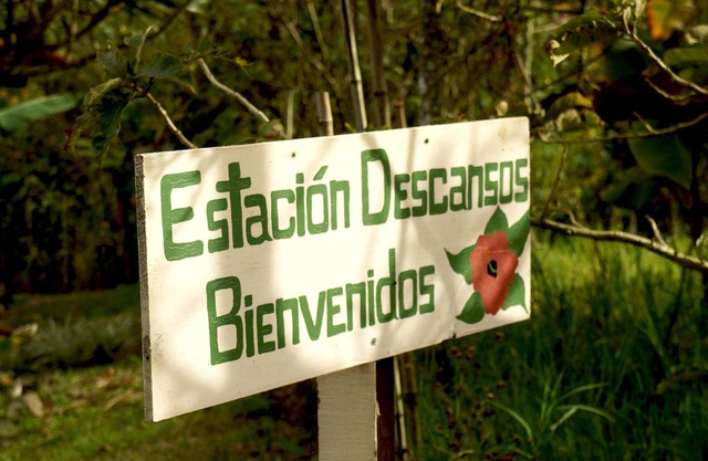 Una estación en el camino de tu vida que nunca olvidarás y desearás regresar