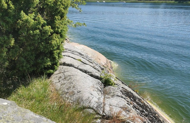 A summer paradise on Kullö in Vaxholm - Sea views, beautiful nature and swimming