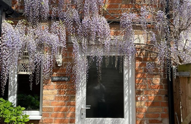 Acorn Cottage - Quorn