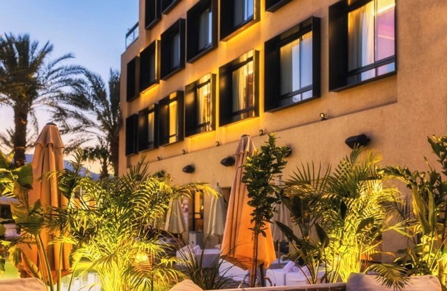 Brown Eilat