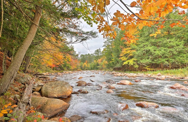 Adirondack Cabin Riverfront Log