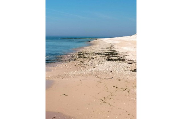 A gentle parenthesis in Vendée....