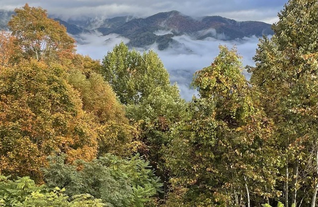 Amazing Mountain Views HOT TUB Fire Pit Remote Location Pet Friendly