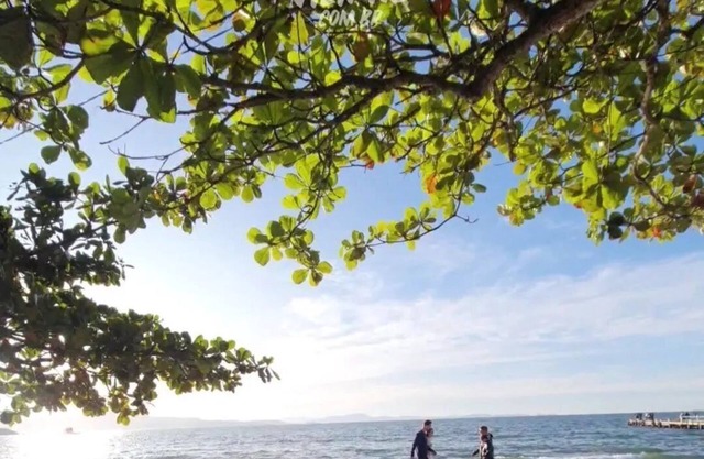 Apê a 150m da praia de Canasvieiras
