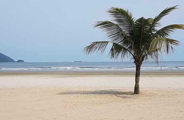 Apartamento em frente a Praia do Embaré - Santos