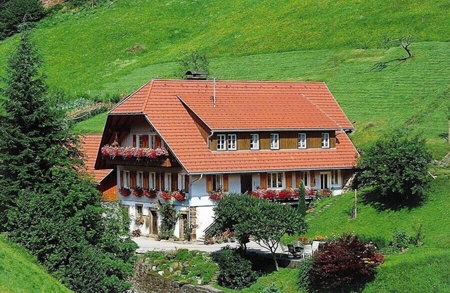 Apartamento en una granja con cabras en un lugar apartado absolutamente soleado y soleado