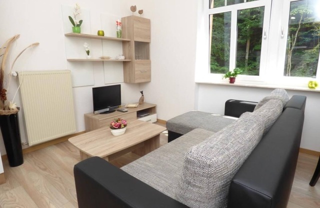Apartamento de 1 habitación - Wald Villa Üssbach