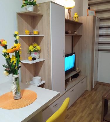 Apartment ANA1