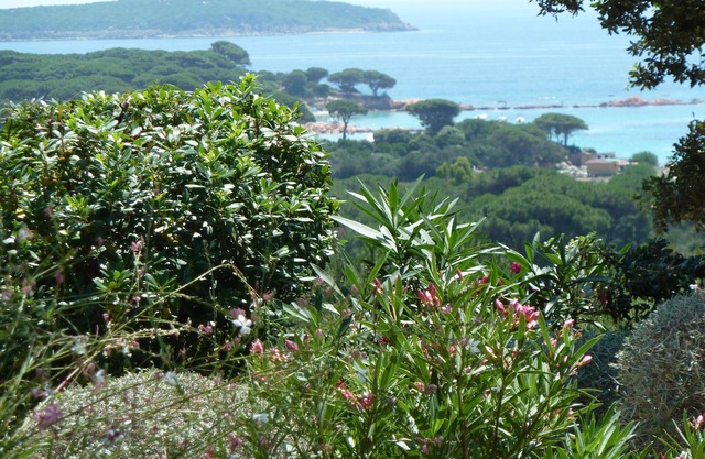 Apartamento para 4 personas en Córcega (S / O) con vista al mar