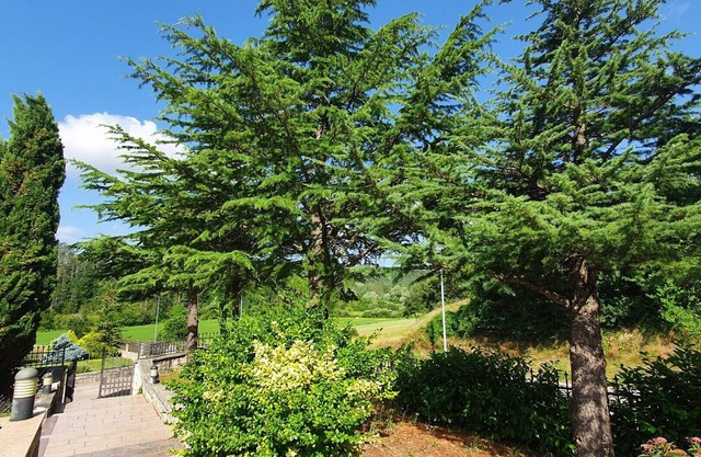 Spacious 6-Person Apartment "Gardens" in Quiet Istrian Meadows, 25 Minutes from Poreč