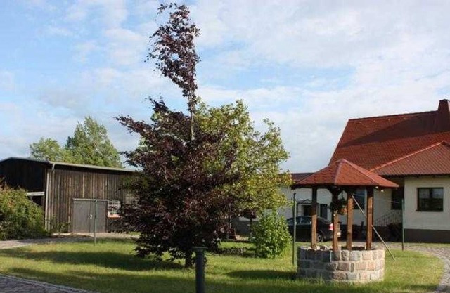 Apartamento Gerswalde UCK 1081 - UCK 1081