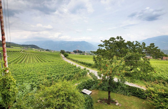 Apartamento 'Harmony Apt 2' con vistas a la montaña, jardín compartido y Wi-Fi