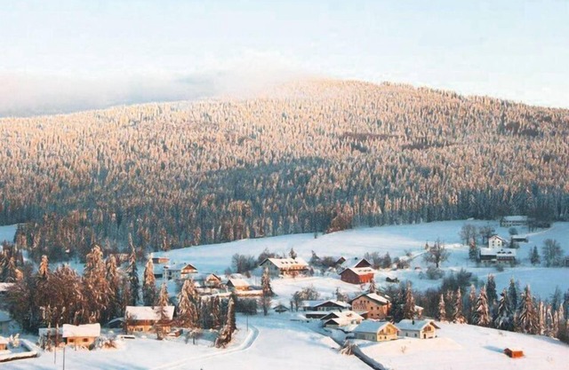 Apartamento en Haidmühle en una hermosa zona