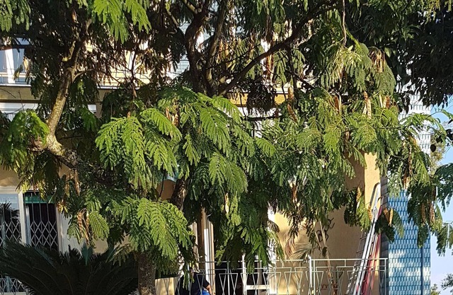 Apartamento en el corazón de Capua