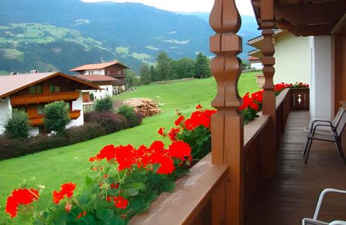 Apartments in Kaltenbach - Zillertal 751