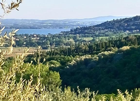 Appartamento Coccinella