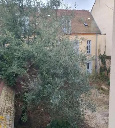 Appartement moderne à Limeil-Brévannes de 56 m² avec jardin