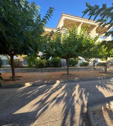 Appartements PORTICCIO CENTRE