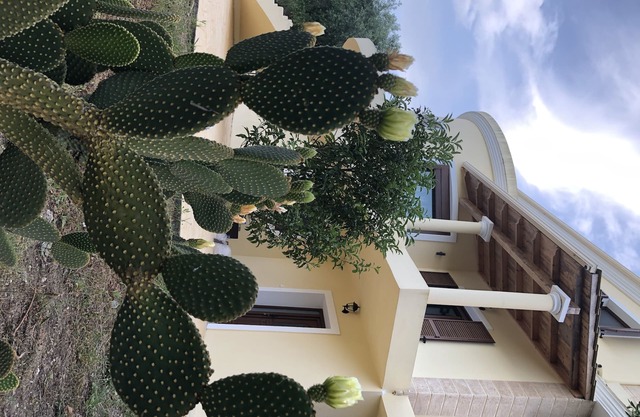 AROMIA CORFU EN CORFU El apartamento está ubicado en una villa en el área de Paliο