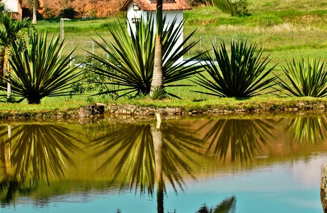 A pie de Petrópolis, Río 50min, hermosa casa de campo con una zona de juegos