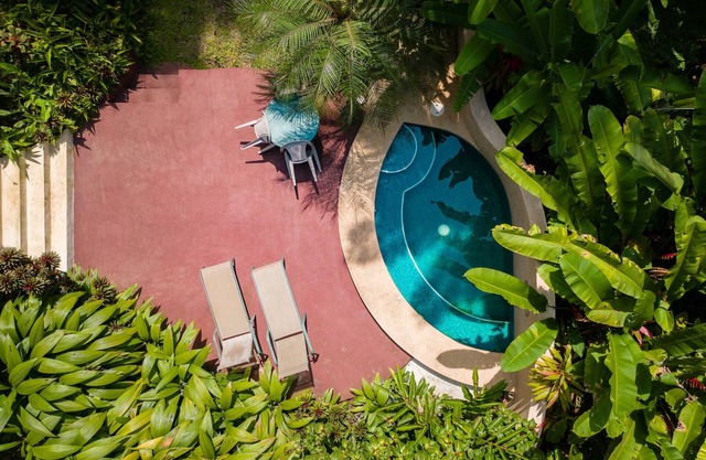 Geckoes Lodge: Rainforest Barefoot Luxury & Plunge Pool cerca de hermosas playas