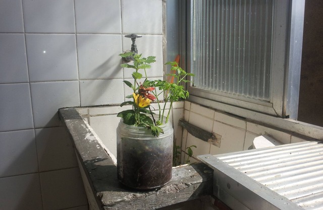 Puedo alquilar 1 dormitorio y un baño amueblado.