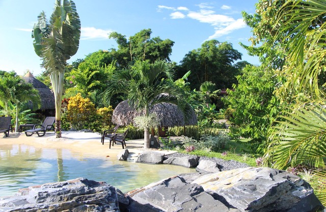 B&B CABANAS LOS COLIBRIS: ¡Jardín tropical, mar y montañas cerca!