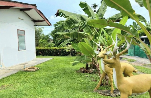Baan Bonsuan Hill Guesthouse