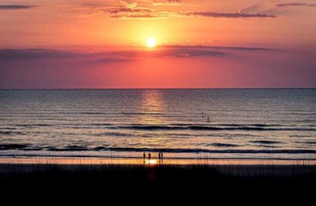Beachers 120