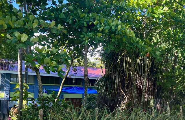 UNIQUE, FRENTE AL MAR DISTINTIVO CASA- COSTA RICA