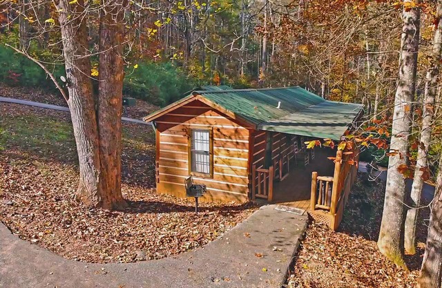 Big Bear Cabin Rentals 2 BD / 1 BA Bear Cabin - Cerca de la ciudad, Tranquilo, Vista arbolada
