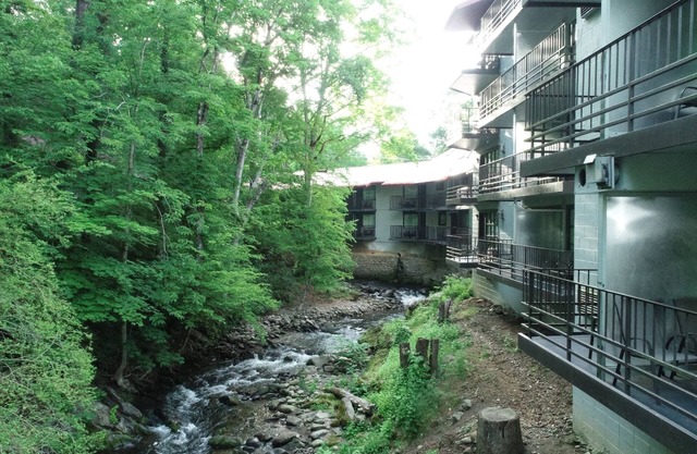 Bear Creek Inn