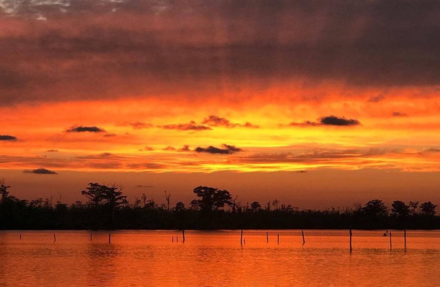 Hermosa y acogedora casa de campo, a dos minutos a pie del paseo marítimo del río Scuppernong