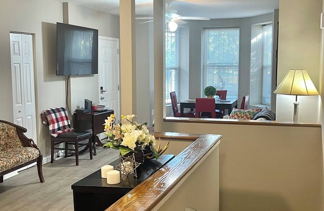 Beautiful Two Level Apt in DC