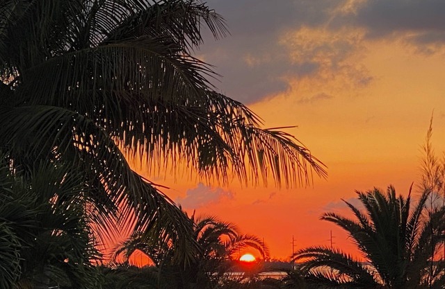 Alquiler de Rockland Key a nueve millas de Key West