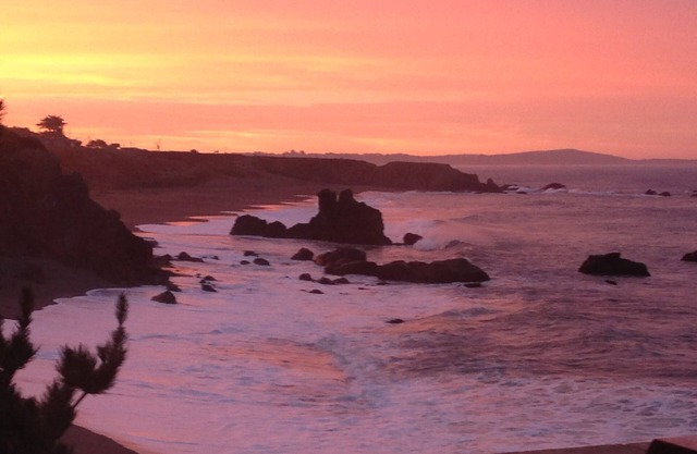 ¡Las mejores vistas de la costa de Sonoma! Frente a la playa., Bañera de hidromasaje, pozo de fuego, se consideran mascotas