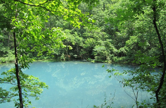 Big Hollow Retreat en Sinking Creek
