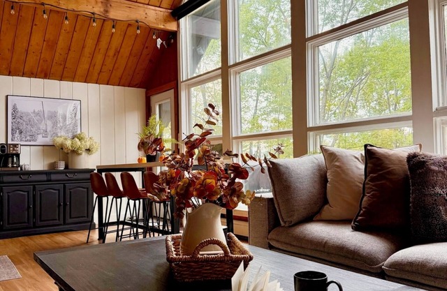 Black Dog Lodge - Ski Chalet centered between Okemo and Killington Mt.