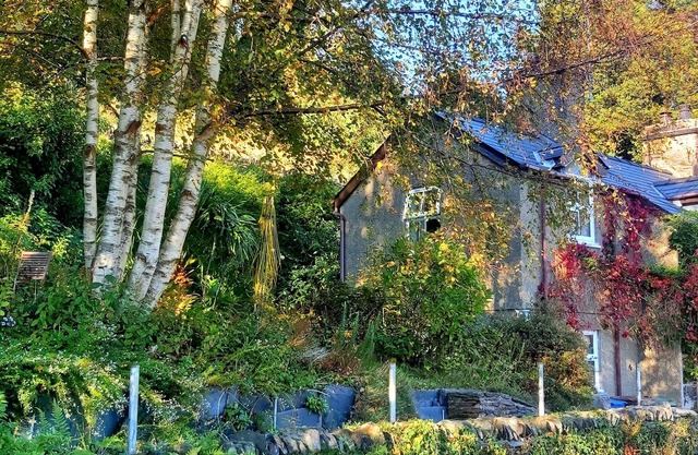 Bodorwel cottage, next to Ffestiniog Railway