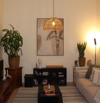 Boho Style Cozy 1 BHK Apartment